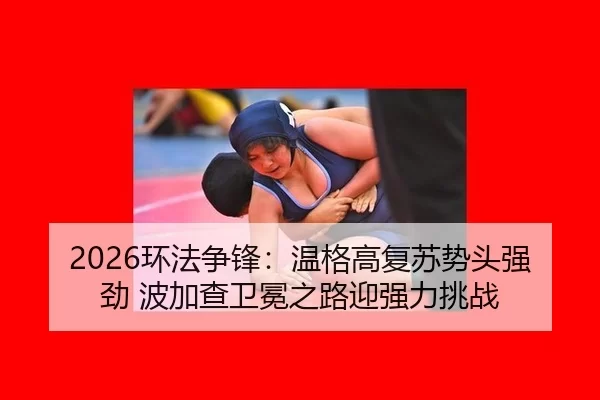 huan-fa-zheng-feng-wen-ge-gao-fu-su-shi-tou-qiang-jing-bo-jia-cha-wei-mian-zhi-lu-ying-qiang-li-tiao-zhan-2-726.jpg